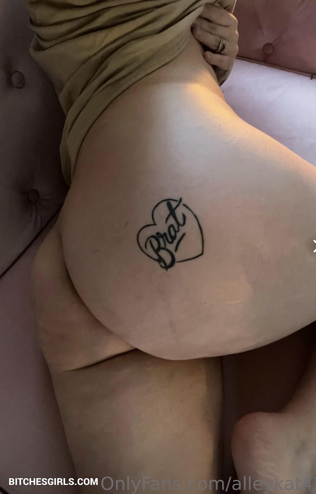 Alleykat 2.0 onlyfans